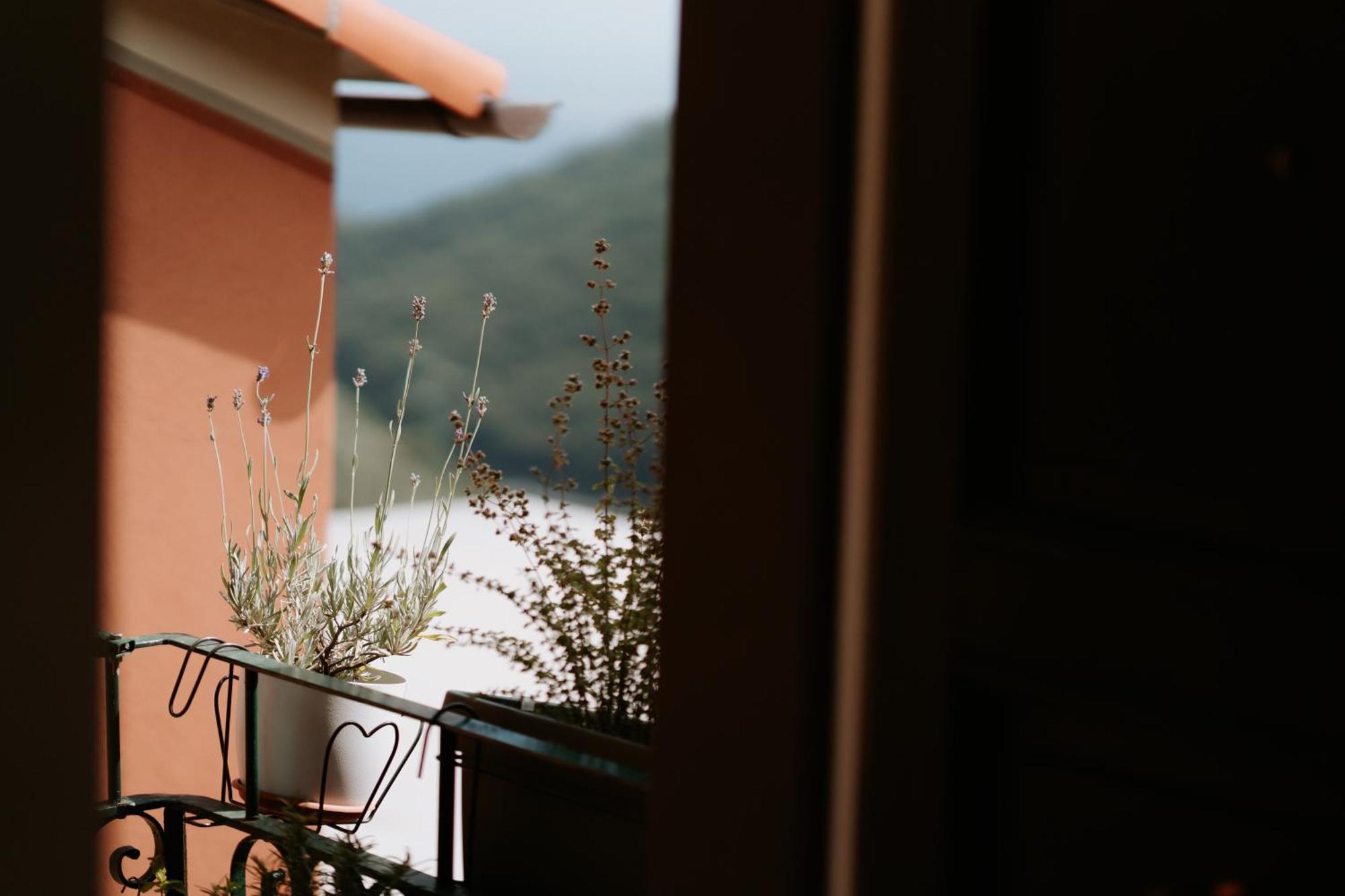 Il Castagno Holiday Home Teriasca Экстерьер фото